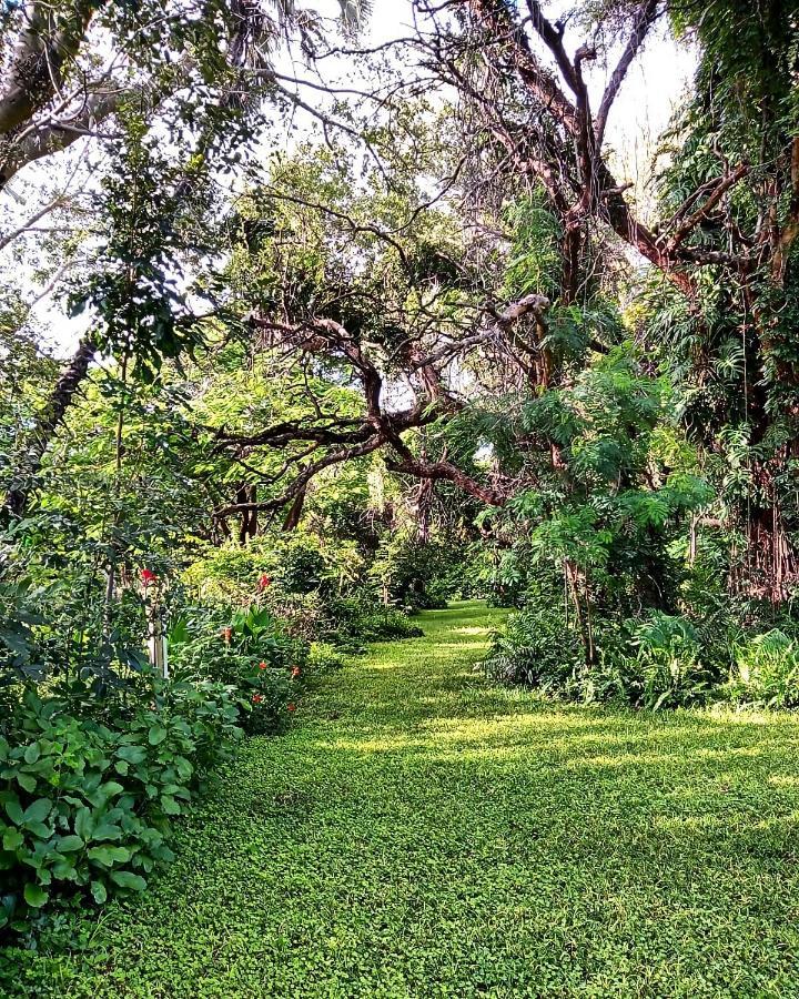 The Maun Studios 外观 照片